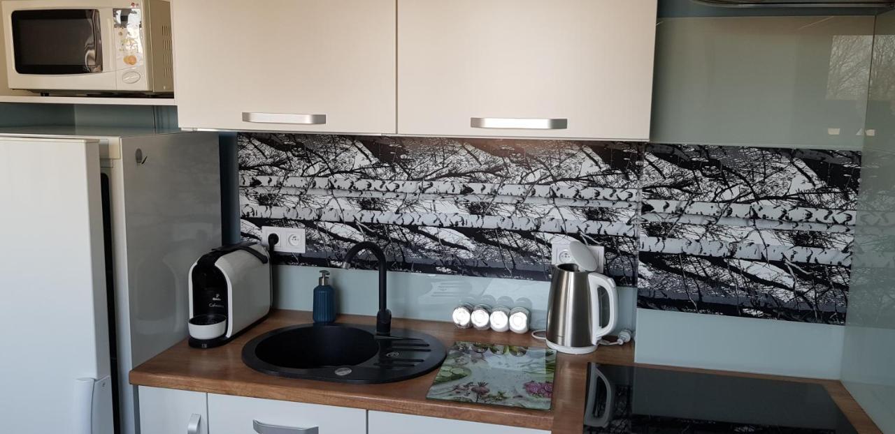 Apartament Centrum Częstochowa Extérieur photo